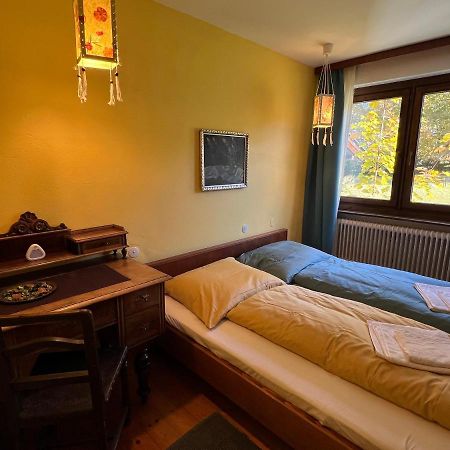 Haus Im Gruenen Daire Saalfelden Dış mekan fotoğraf