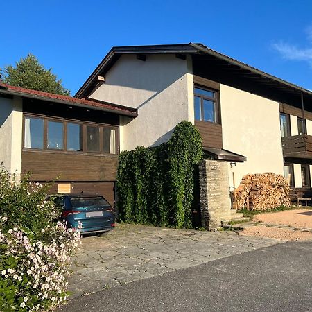 Haus Im Gruenen Daire Saalfelden Dış mekan fotoğraf