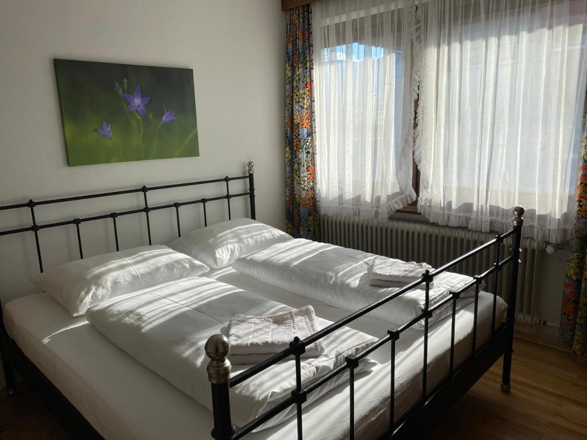 Haus Im Gruenen Daire Saalfelden Dış mekan fotoğraf