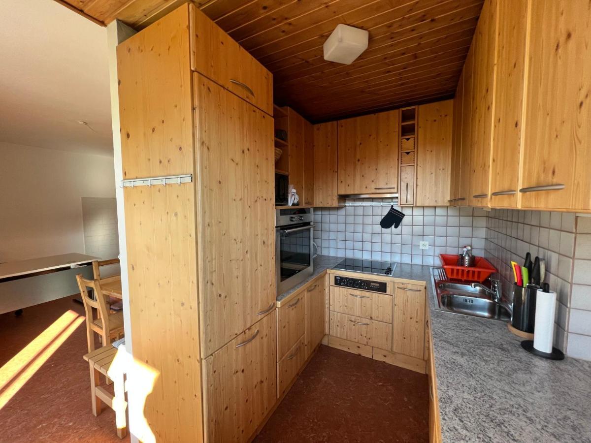 Haus Im Gruenen Daire Saalfelden Dış mekan fotoğraf