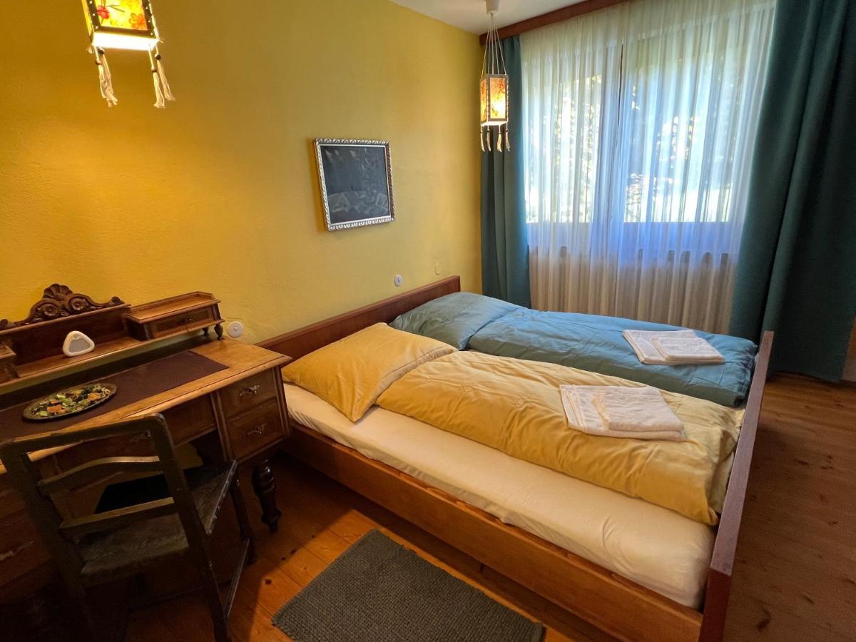 Haus Im Gruenen Daire Saalfelden Dış mekan fotoğraf