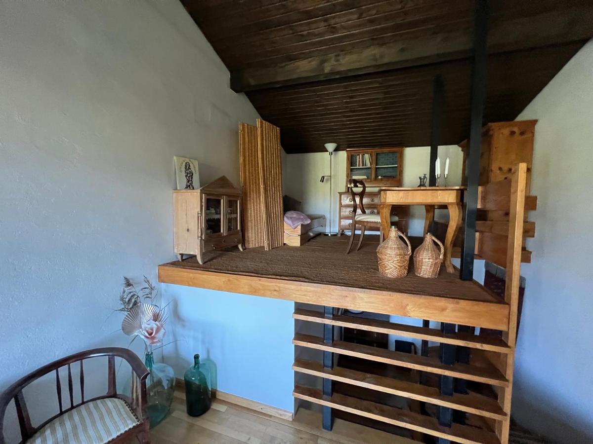 Haus Im Gruenen Daire Saalfelden Dış mekan fotoğraf